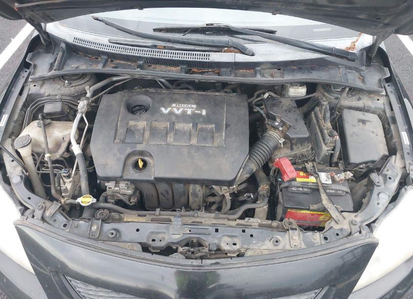 Photo 10 of 2009 Toyota Corolla LE (VIN 1NXBU40E99Z011726)