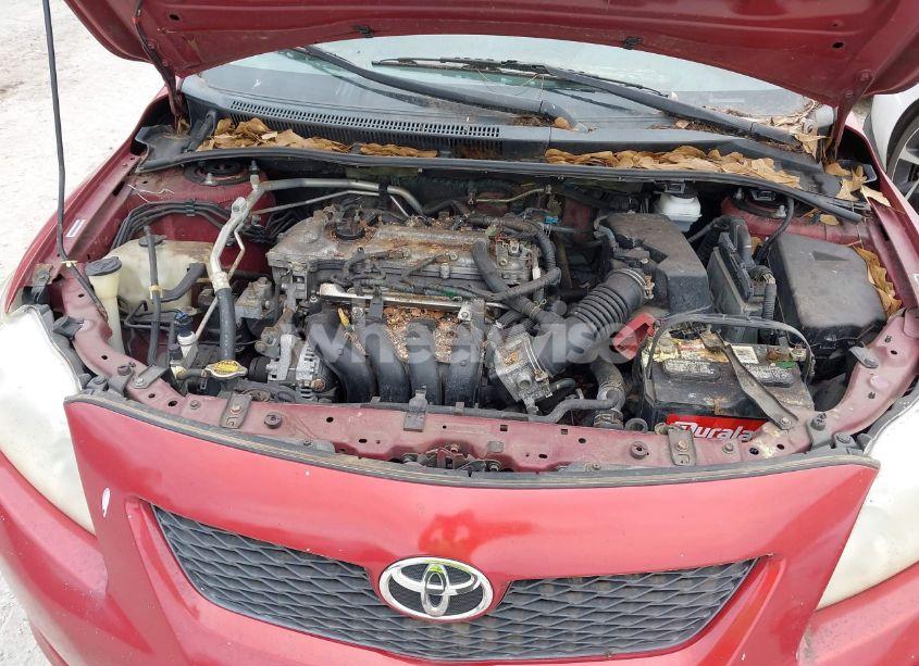 Photo 10 of 2009 Toyota Corolla LE (VIN 1NXBU40E99Z012715)