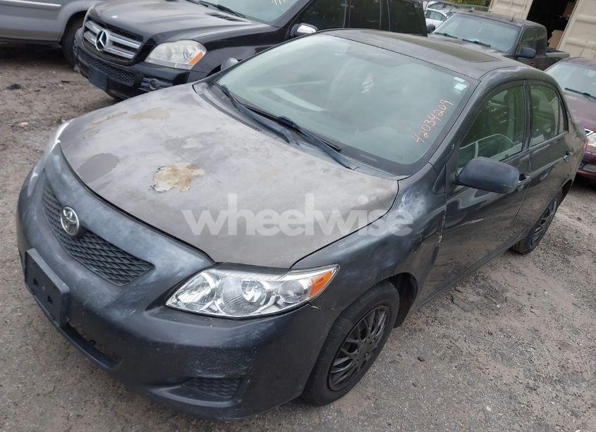 Photo 2 of 2009 Toyota Corolla LE (VIN 1NXBU40E99Z024895)