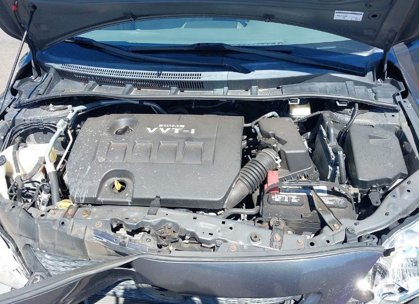 Photo 10 of 2009 Toyota Corolla LE (VIN 1NXBU40E99Z062739)