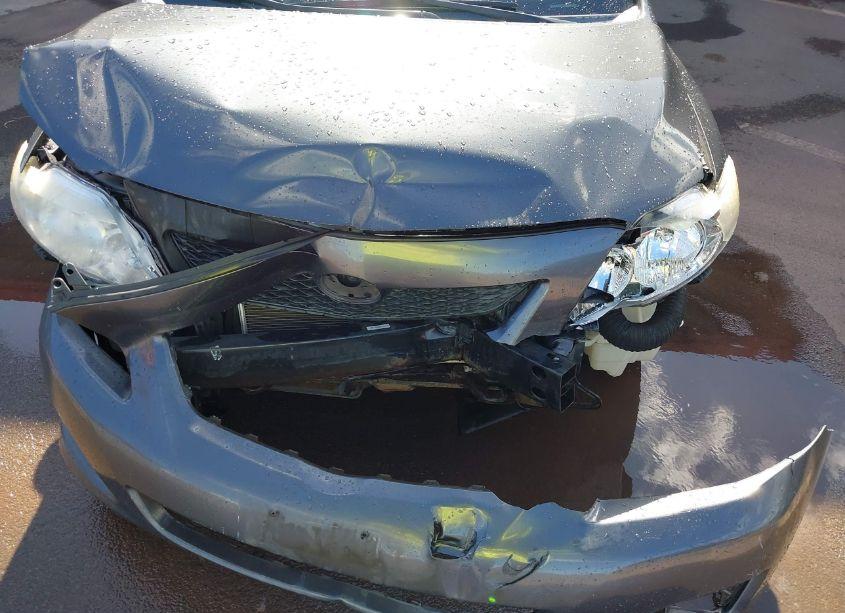 Photo 6 of 2009 Toyota Corolla LE (VIN 1NXBU40E99Z062739)