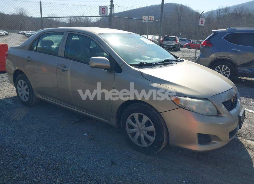 2009 Toyota Corolla LE (VIN 1NXBU40E99Z088368) main photo
