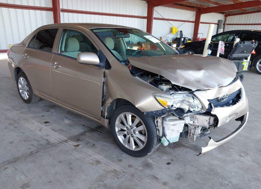 2009 Toyota Corolla LE (VIN 1NXBU40E99Z099497) main photo