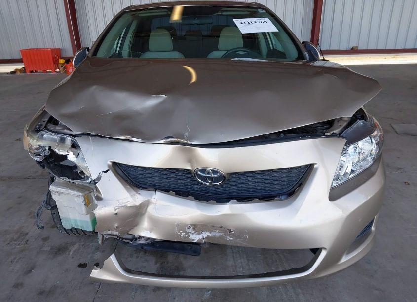 Photo 6 of 2009 Toyota Corolla LE (VIN 1NXBU40E99Z099497)