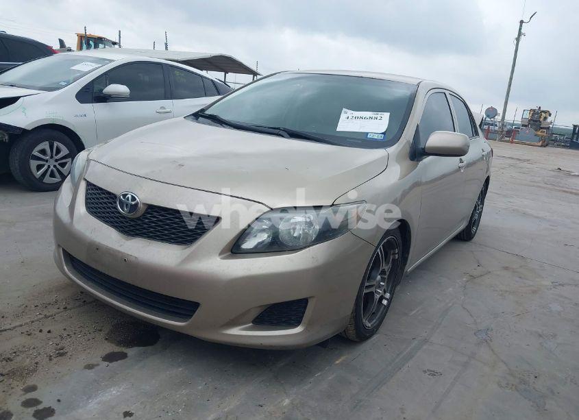 Photo 2 of 2009 Toyota Corolla LE (VIN 1NXBU40E99Z118081)