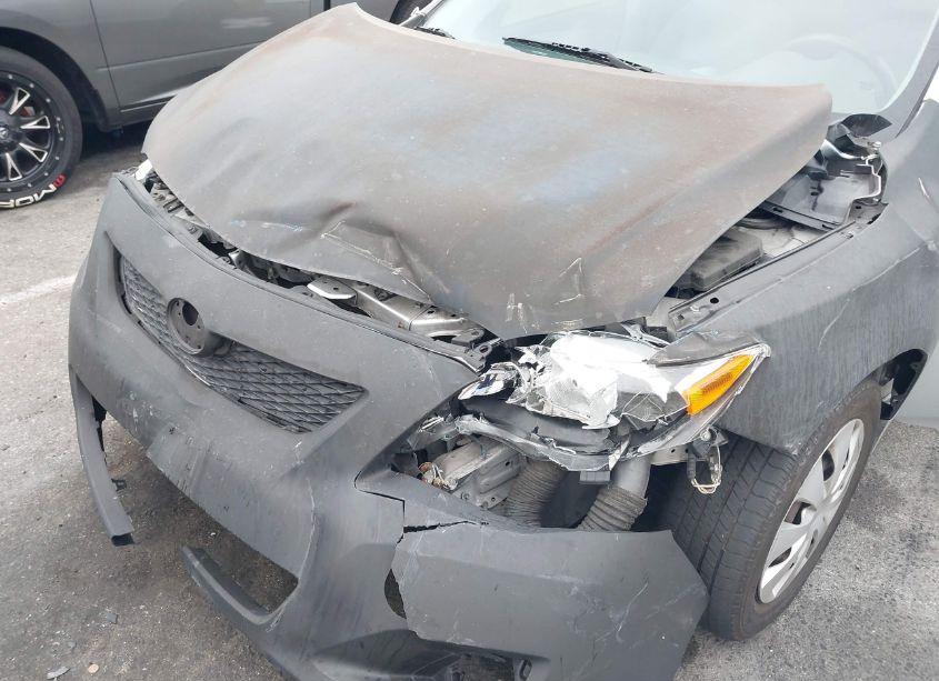 Photo 6 of 2009 Toyota Corolla LE (VIN 1NXBU40E99Z154756)