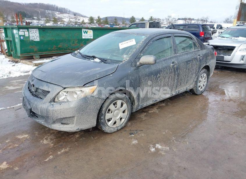 Photo 2 of 2009 Toyota Corolla LE (VIN 1NXBU40E99Z160220)