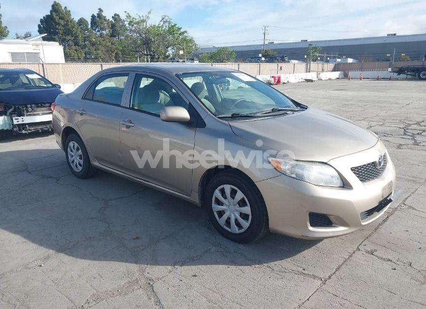 2009 Toyota Corolla LE (VIN 1NXBU40EX9Z065469) main photo