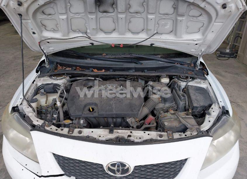 Photo 10 of 2009 Toyota Corolla LE (VIN 1NXBU40EX9Z073880)