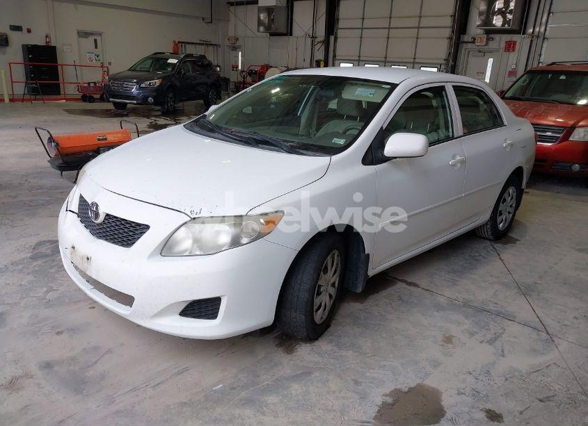 Photo 2 of 2009 Toyota Corolla LE (VIN 1NXBU40EX9Z073880)