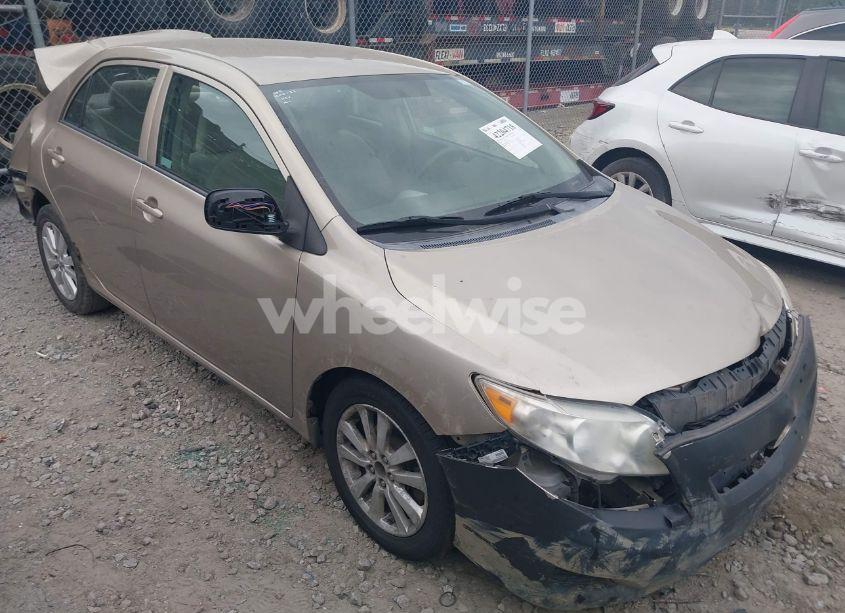2009 Toyota Corolla LE (VIN 1NXBU40EX9Z127288) main photo