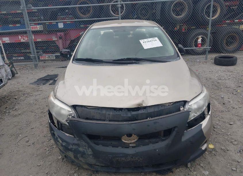 Photo 12 of 2009 Toyota Corolla LE (VIN 1NXBU40EX9Z127288)