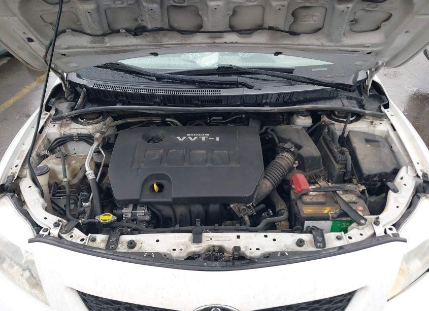 Photo 10 of 2010 Toyota Corolla LE (VIN 1NXBU4EE0AZ184225)