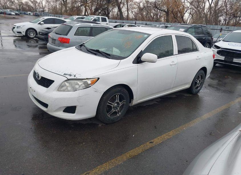 Photo 2 of 2010 Toyota Corolla LE (VIN 1NXBU4EE0AZ184225)