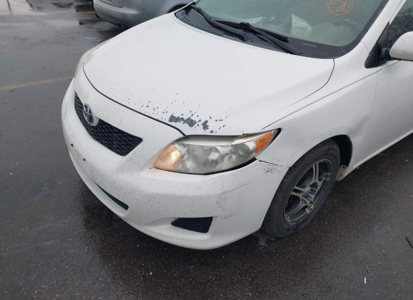 Photo 6 of 2010 Toyota Corolla LE (VIN 1NXBU4EE0AZ184225)