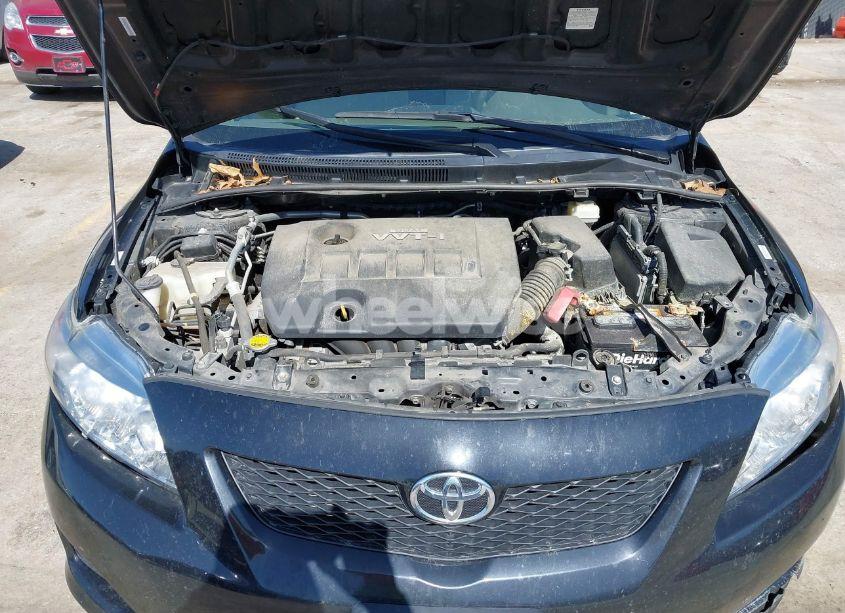 Photo 10 of 2010 Toyota Corolla LE (VIN 1NXBU4EE0AZ190817)