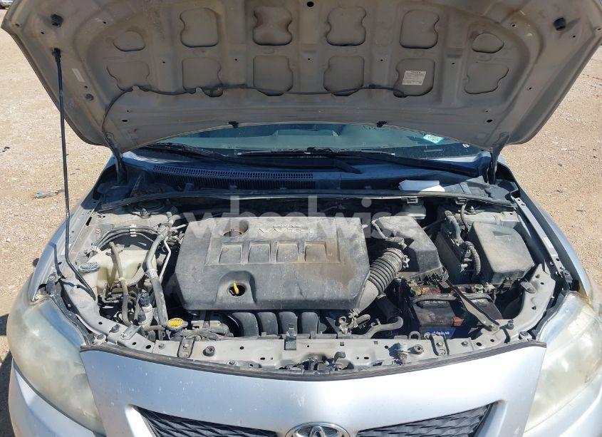 Photo 10 of 2010 Toyota Corolla LE (VIN 1NXBU4EE0AZ232094)