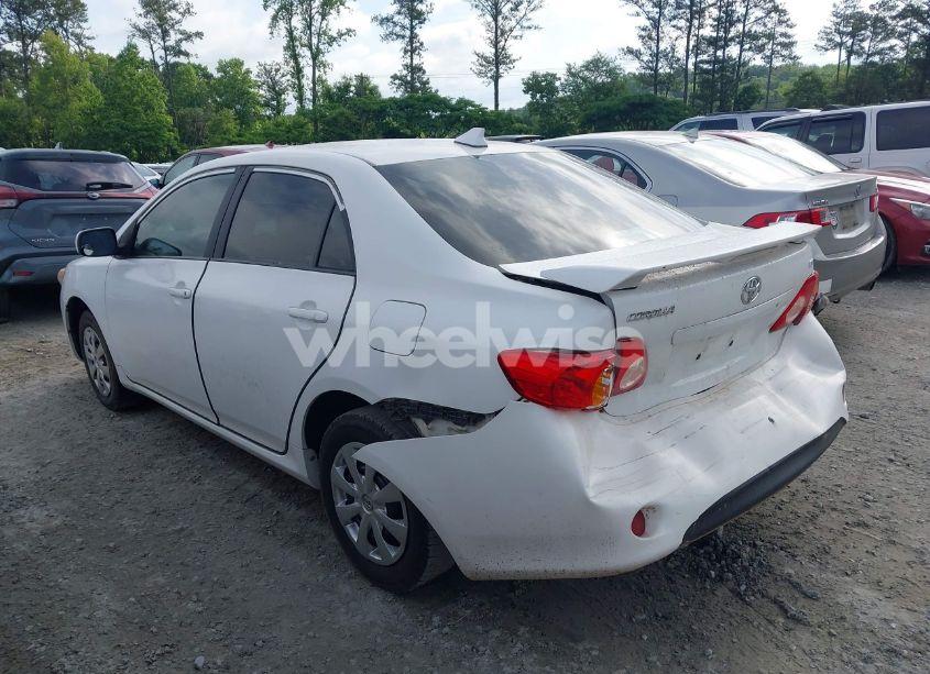 Photo 3 of 2010 Toyota Corolla LE (VIN 1NXBU4EE0AZ282302)