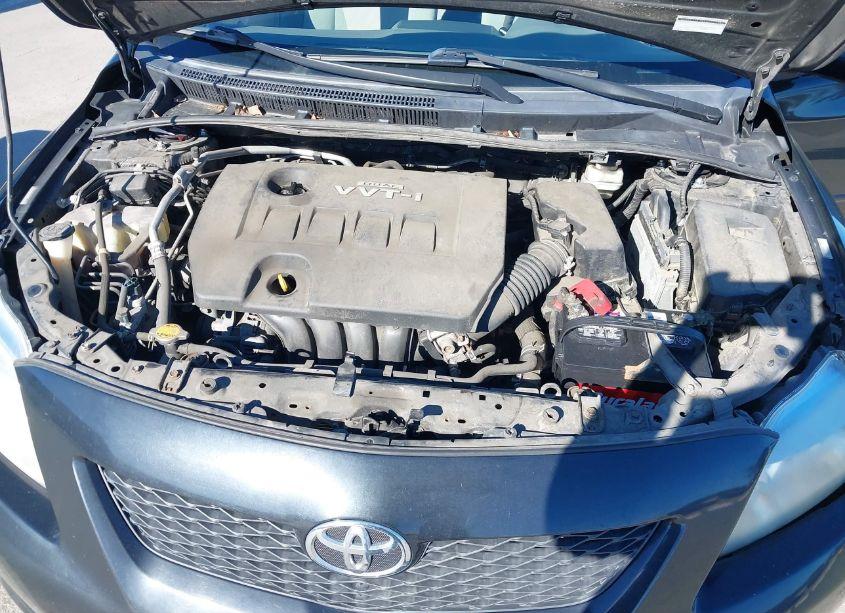 Photo 10 of 2010 Toyota Corolla LE (VIN 1NXBU4EE0AZ287337)