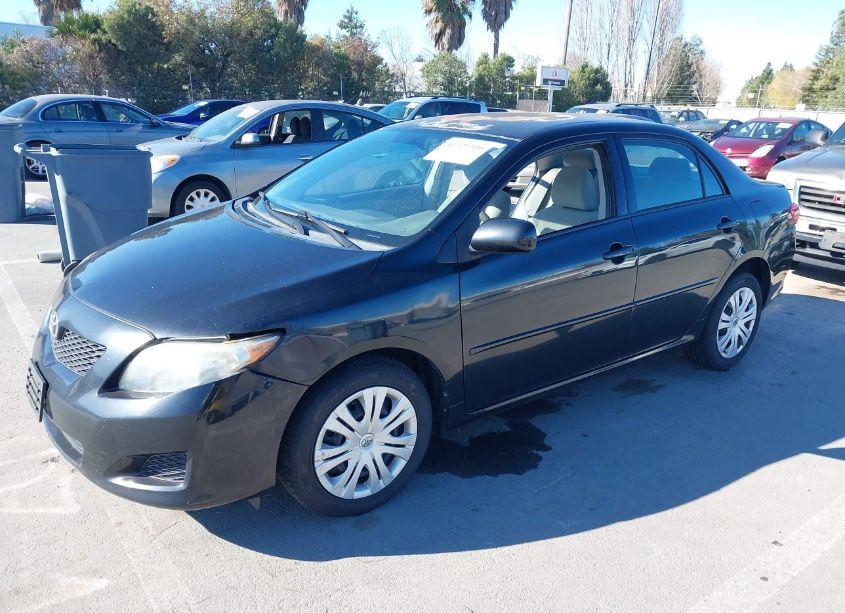 Photo 2 of 2010 Toyota Corolla LE (VIN 1NXBU4EE0AZ287337)