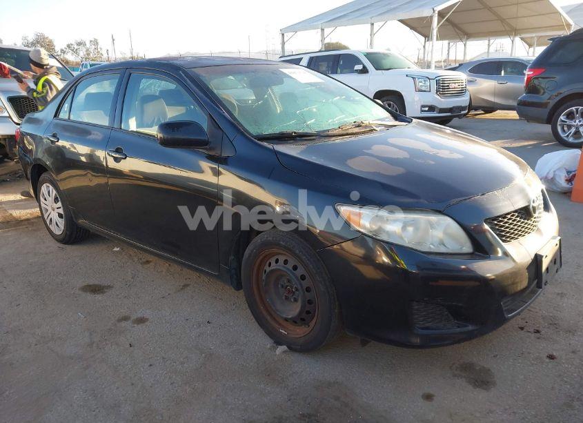 2010 Toyota Corolla LE (VIN 1NXBU4EE0AZ297172) main photo