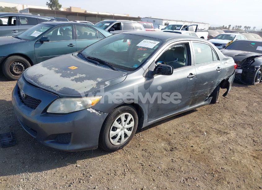 Photo 2 of 2010 Toyota Corolla LE (VIN 1NXBU4EE0AZ302418)