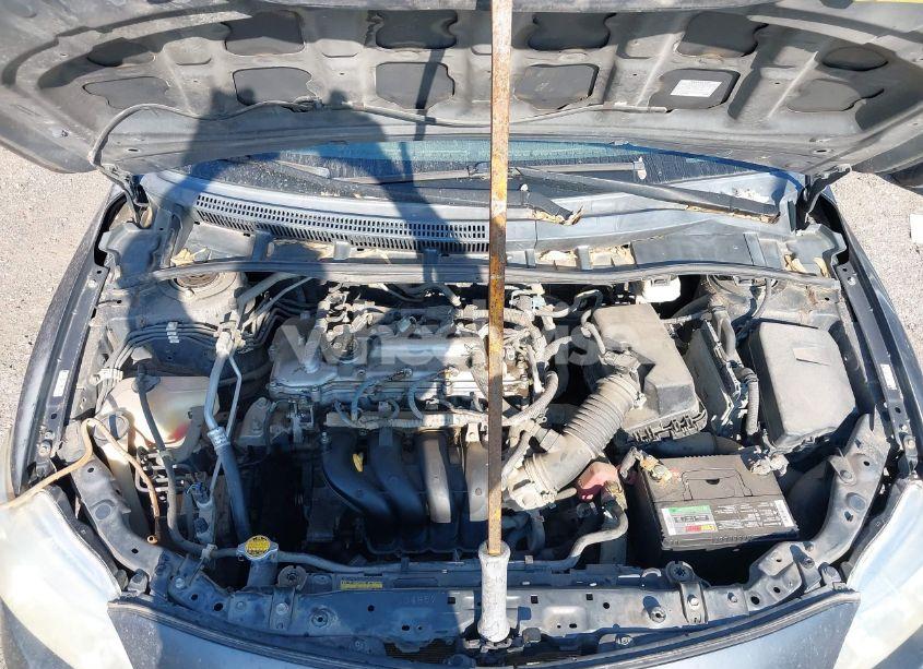 Photo 10 of 2010 Toyota Corolla LE (VIN 1NXBU4EE0AZ305870)