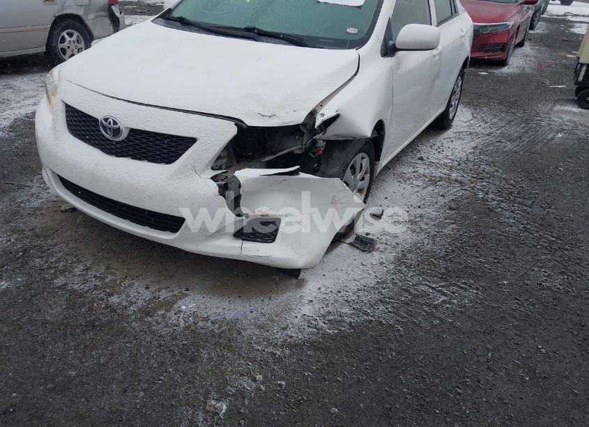 Photo 6 of 2010 Toyota Corolla LE (VIN 1NXBU4EE0AZ351960)