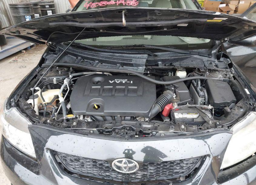 Photo 10 of 2010 Toyota Corolla LE (VIN 1NXBU4EE0AZ371920)