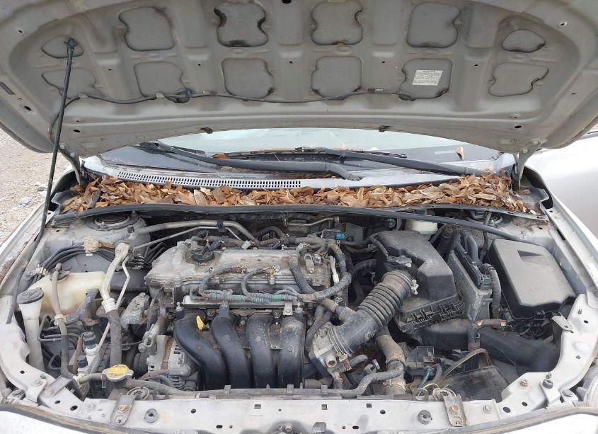 Photo 10 of 2010 Toyota Corolla S (VIN 1NXBU4EE0AZ384635)