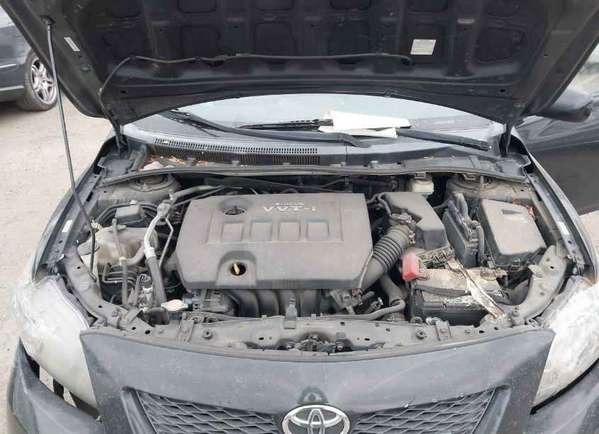 Photo 10 of 2010 Toyota Corolla S (VIN 1NXBU4EE1AZ176294)