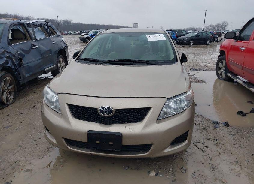 Photo 12 of 2010 Toyota Corolla LE (VIN 1NXBU4EE1AZ182144)