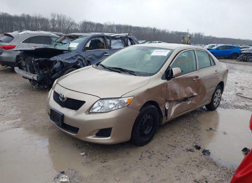 Photo 2 of 2010 Toyota Corolla LE (VIN 1NXBU4EE1AZ182144)