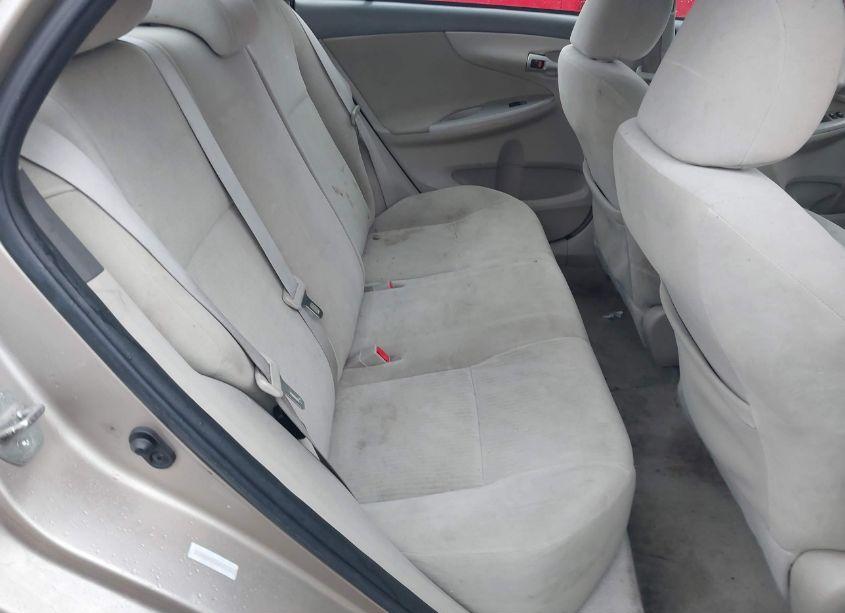 Photo 8 of 2010 Toyota Corolla LE (VIN 1NXBU4EE1AZ182144)