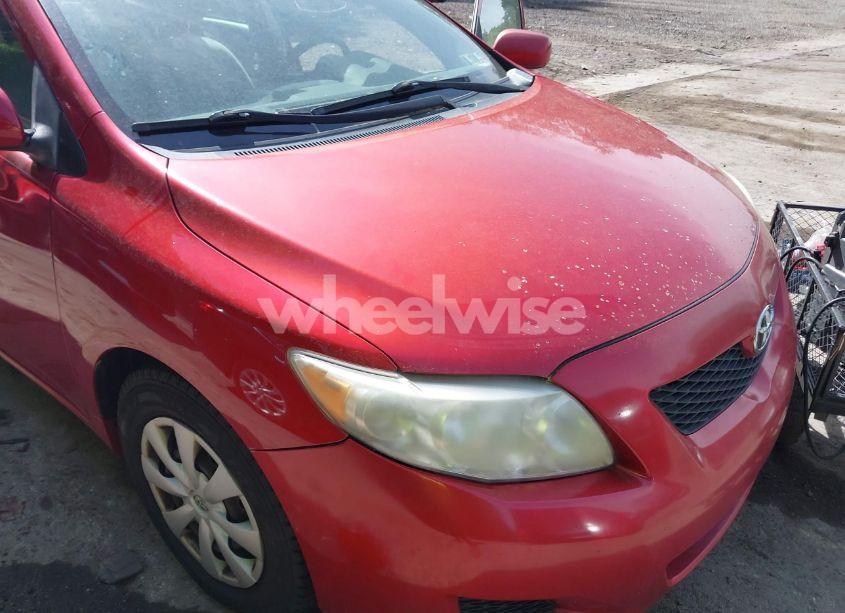 Photo 12 of 2010 Toyota Corolla LE/S/XLE (VIN 1NXBU4EE1AZ186145)