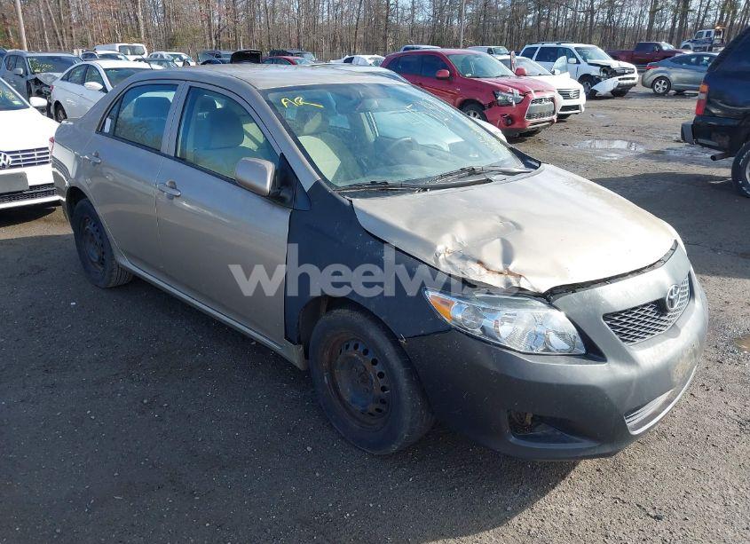 2010 Toyota Corolla LE (VIN 1NXBU4EE1AZ187585) main photo