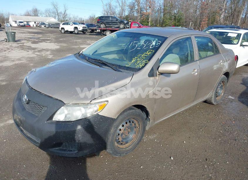 Photo 2 of 2010 Toyota Corolla LE (VIN 1NXBU4EE1AZ187585)