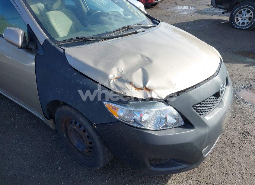 Photo 6 of 2010 Toyota Corolla LE (VIN 1NXBU4EE1AZ187585)