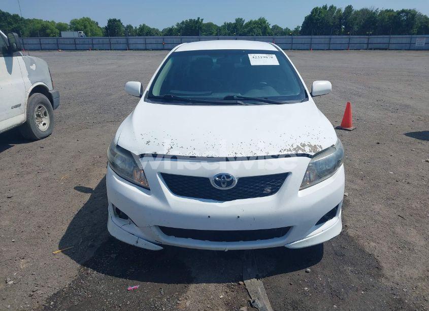 Photo 12 of 2010 Toyota Corolla S (VIN 1NXBU4EE1AZ197839)