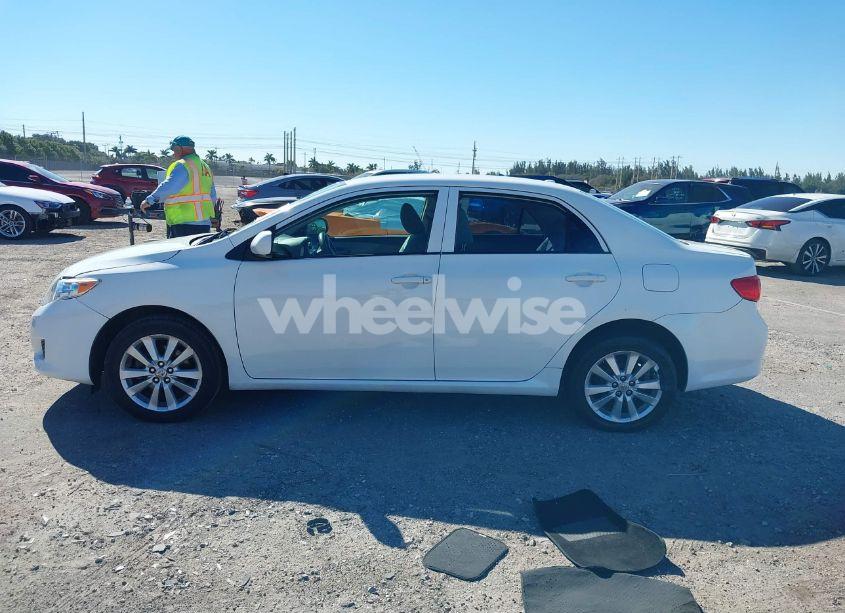 Photo 14 of 2010 Toyota Corolla LE (VIN 1NXBU4EE1AZ240706)