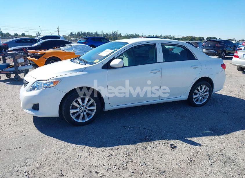 Photo 2 of 2010 Toyota Corolla LE (VIN 1NXBU4EE1AZ240706)