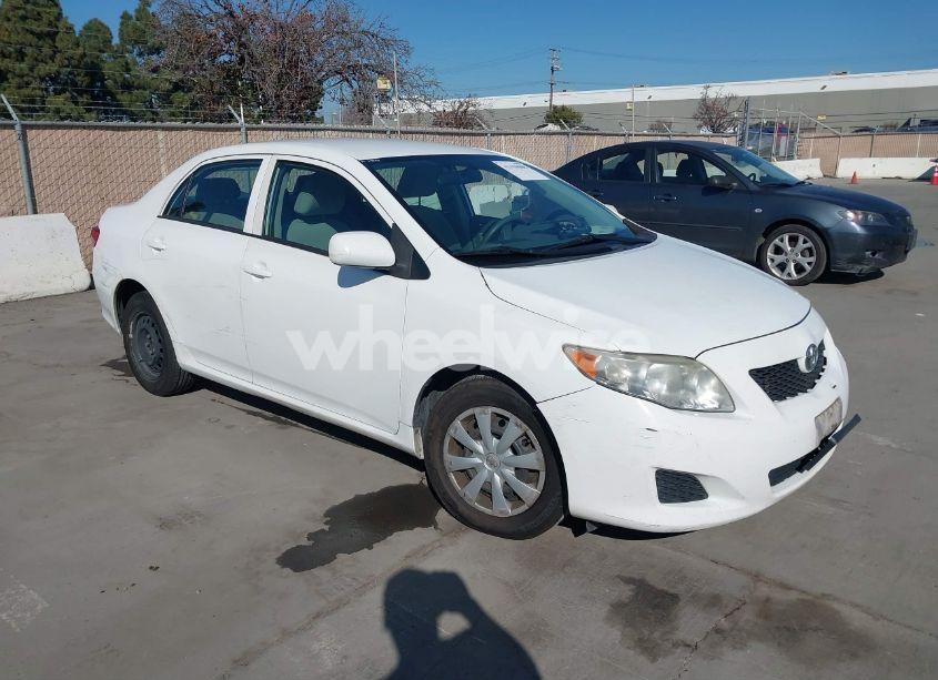 2010 Toyota Corolla LE (VIN 1NXBU4EE1AZ297729) main photo