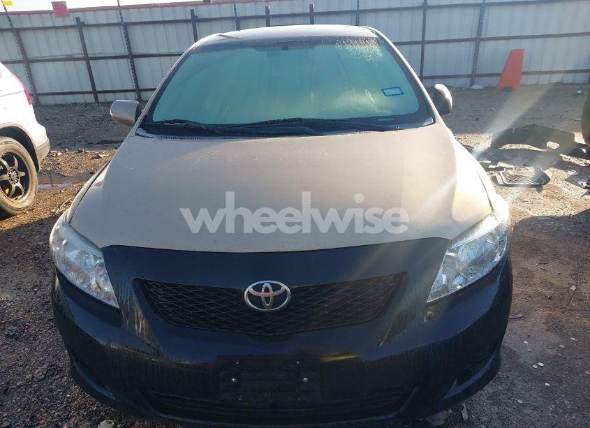 Photo 12 of 2010 Toyota Corolla LE (VIN 1NXBU4EE1AZ299819)