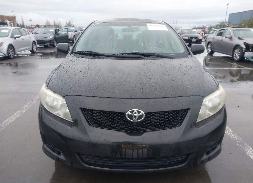 Photo 12 of 2010 Toyota Corolla LE (VIN 1NXBU4EE1AZ307983)