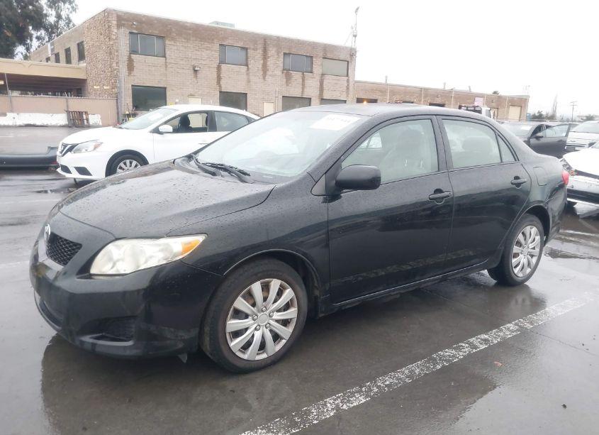 Photo 2 of 2010 Toyota Corolla LE (VIN 1NXBU4EE1AZ307983)