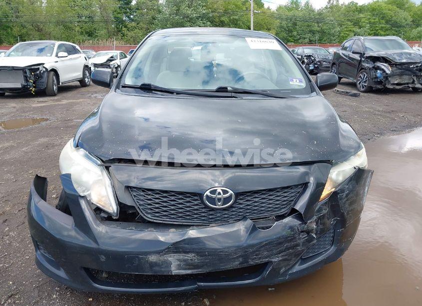 Photo 12 of 2010 Toyota Corolla LE (VIN 1NXBU4EE1AZ310432)