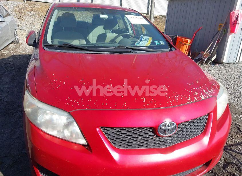 Photo 6 of 2010 Toyota Corolla LE (VIN 1NXBU4EE1AZ313458)