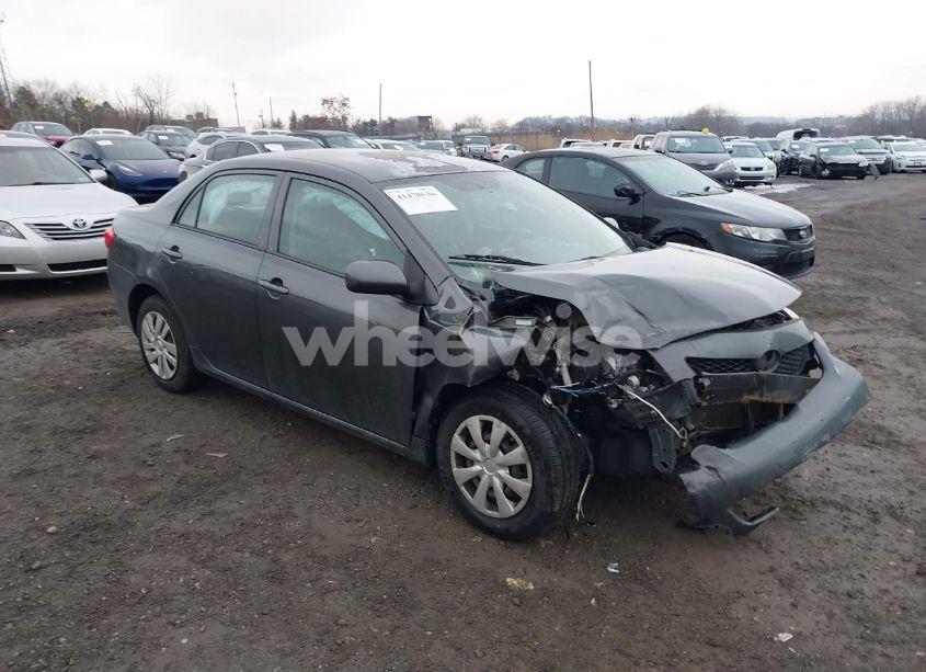2010 Toyota Corolla LE (VIN 1NXBU4EE1AZ322435) main photo