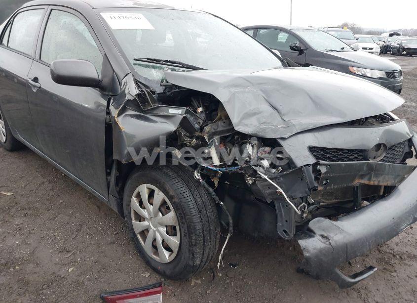 Photo 6 of 2010 Toyota Corolla LE (VIN 1NXBU4EE1AZ322435)