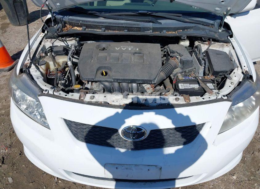 Photo 10 of 2010 Toyota Corolla LE (VIN 1NXBU4EE1AZ329000)